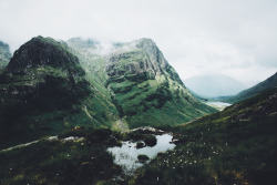 tulipnight:  Feeling Small by Daniel Casson 