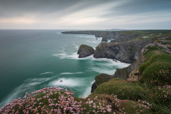 te5seract:   Cliff Edge Thrift at Bedruthan Steps A Splash of