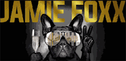 ♍NUVIBE♍