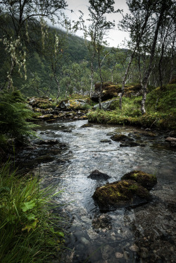 nordfjall:'Stream of Shadows' by Nordfjall // Grøtfjord, Norway.[Facebook]