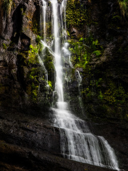 tumblekai:  Fairy Falls  The Laughing Chestnut 