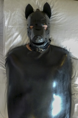 Wolf Pup in his rubber sleepsack… You can read about my