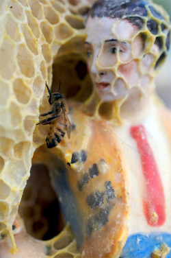 itscolossal:  Artist Aganetha Dyck Collaborates with Bees to