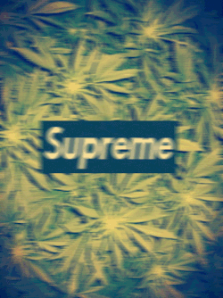 everybodylovescigarettes-deacti:  You love cigarettes and drugs