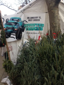 jimforce: Spotted a Monster Trucks ad at a place selling Christmas
