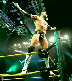 Alex on Nxt!