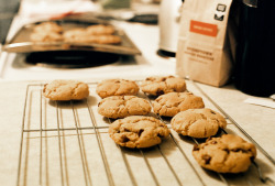 paularoidmoments:  Cookies on film. by Intrepidation on Flickr.