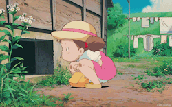  My Neighbor Totoro (1988) 