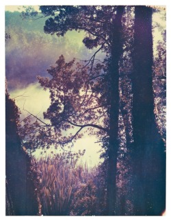 ulantia:  ~soft breeze~ custins.com 