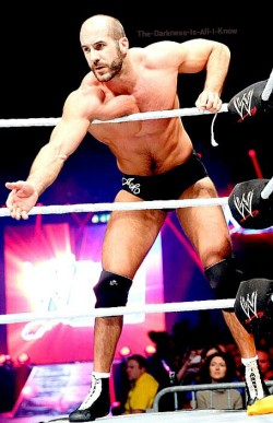 European Sex Stud! Antonio Cesaro!