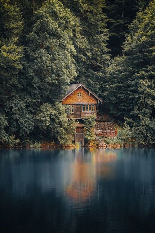 aestum:  (by marc.hennige)