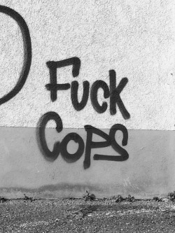 gogomrbrown:    A.C.A.B 