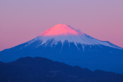 drxgonfly: Mount Fuji Dyed Pink (by  Atsushi Hayakawa)