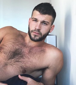 thehairyhunk:Feat @ideal.matt • By @thehairyhunk • #thehairyhunk