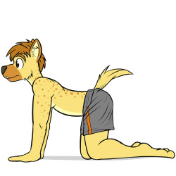 Fuze-hyena trying out some yoga.