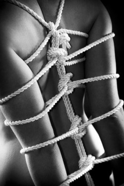 Shibari Dreams with Knotty Minds