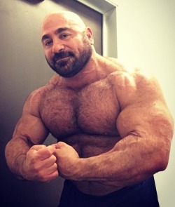 pjsesq:  The quintessential muscle bear Mike Ergas 