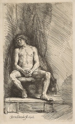 1646 - Nude Man Seated before a Curtain Rembrandt (Rembrandt