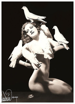 Rosita Royce       aka. “The Dove Dancer”..