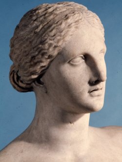 hismarmorealcalm:  The Townley Venus  Proconnesian marble  Excavated