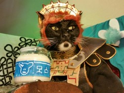 cat-cosplay:  A thought occurs to Ga'nyan'dorf… who needs Hyrule