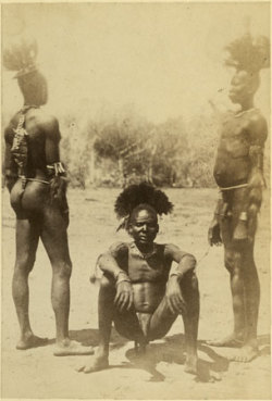 Via Humanoid History:Portraits of the Bari people of Gondokoro in southern Sudan, 1878, photos by Richard Buchta, courtesy of the Pitt Rivers Museum. 