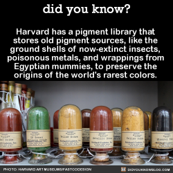 re-pu-ta-tion:  zigster-ao3:  did-you-kno:  Harvard has a pigment