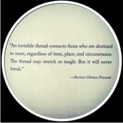 purplebuddhaproject:  http://ift.tt/1Mc3ZAX