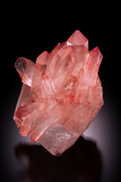 themineralogist:  Quartz with iron oxide from Nova Scotia (by