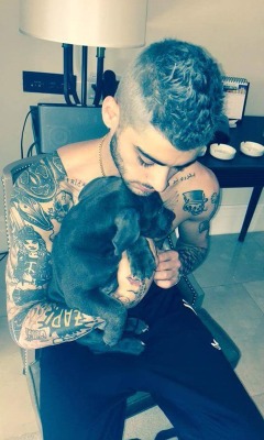 male-and-others-drugs:  Zayn shirtless