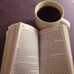 booksnotlovers:  In bed with A Feast for Crows and tea 