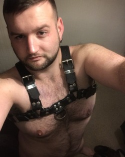 kieferfitzhugh:One cub and his favourite piece of leather!  