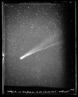 ucresearch:  A view of Halley’s Comet from the Lick Observatory