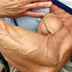 addicted2muscl:  Big Veiny Muscle Arm!   #muscles #flexing#bodybuildingmotivation