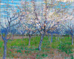 lonequixote:  The Pink Orchard by Vincent van Gogh (via @lonequixote)