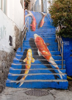 kevinlowry:Koi fish stairway