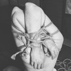 mosafir:Inspired by Steve Osada. M: D. #shibari #kinbaku #ropebondage