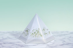 designcube:  Microgarden Kit by Tomorrow Machine for INFARM 