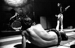 lustforpunk:  The Stooges Photo by Robert Altman