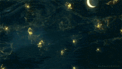 hippist:  exactlytheopposite:  karrlav:  “The Starry Night” Vincent