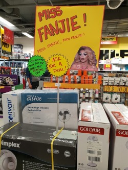 adumbledoreable: At my local electronics store  Miss FANjieeeee