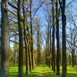 #Heaven My #precious #favorites  #Gatchina / #May, 2013  #perfect