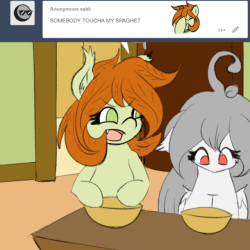 askflowertheplantponi: hue. Hi guys im back. sorted things up