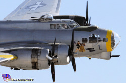 beautifulwarbirds:  B-17 “Liberty Belle” Flying Fortress