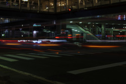 楽園