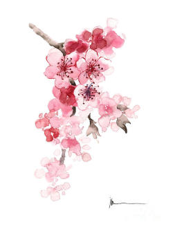 ceciliatallice:Sakura Flowers watercolors by Joanna Szmerdt