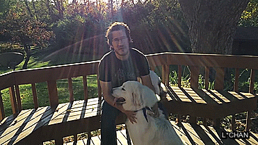 lissachan504:  MARKIMOO AND DOGGIES PART 2