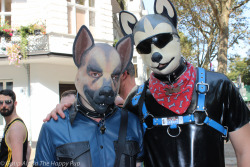 Mr Pup Switzerland! You can learn more about human pup play