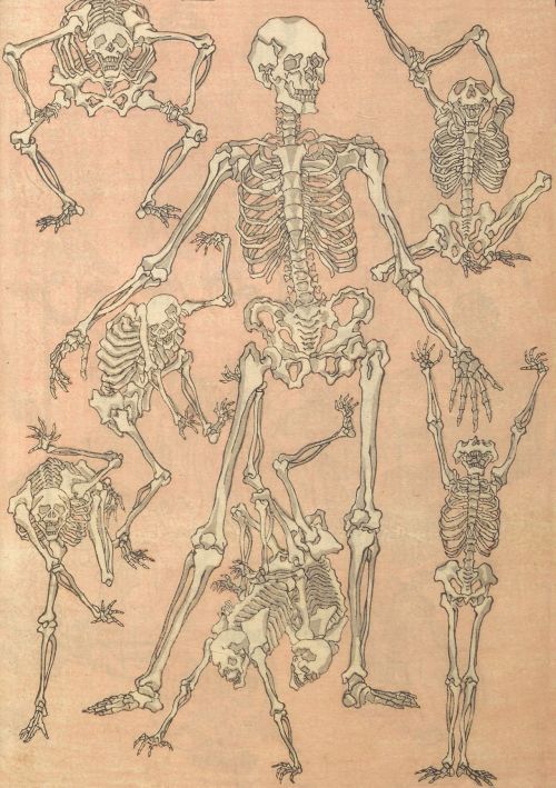 deathandmysticism:Kawanabe Kyōsai, Skeletons, 1881
