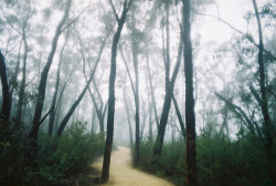 winterfellis:  Grampians by __Nicolaa on Flickr. 